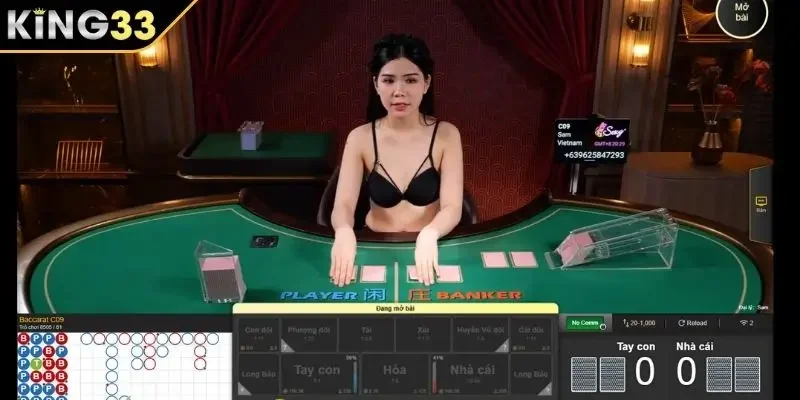 Tổng quan về Baccarat King33
