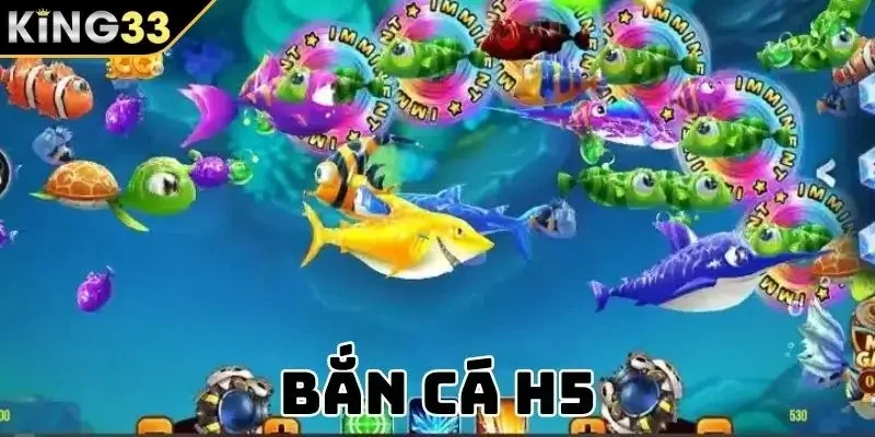Tổng quan về bắn cá H5
